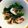 いわさかな's cooksnap of when they made イカと小松菜あっさり炒め.