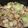 未来への扉's cooksnap of when they made 野菜もたっぷり♪アサリの酒蒸し☆.
