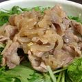 めかにか's cooksnap of when they made さっぱりネギ塩豚丼.