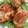 BibittO4's cooksnap of when they made 鶏肉のｶﾞｰﾘｯｸ炒め in水菜.