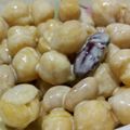 kangaru's cooksnap of when they made お豆の恵みたっぷり！やさしい和風サラダ.