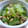 ママフィオ's cooksnap of when they made 塩もみゴーヤとテンペの和えもの.