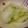 ナチクマ's cooksnap of when they made ゴマ油でウマイ～　☆白菜のお漬物☆.