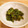 keim02's cooksnap of when they made 菜の花の胡麻和え.