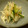 UME11's cooksnap of when they made 和風☆大根とツナのマヨ和え.