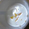 枝子（ダイエット中's cooksnap of when they made 濃厚*とろけるマンゴーヨーグルト*.