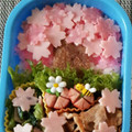 じゅすん's cooksnap of when they made 桜の木デコ弁.