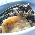 oBsession's cooksnap of when they made わらびと油揚げの煮びたし.