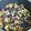 showmam624's cooksnap of when they made ひじきの煮物.