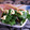 みみんご。's cooksnap of when they made ハムとカイワレの森.