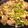 BellmanM's cooksnap of when they made 鶏肉のネギソース.