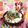 みなみんくっきんぐ's cooksnap of when they made かつおのたたきと山芋のプチどんぶり.