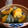 なにしてあそぼ's cooksnap of when they made あこがれのかぼちゃで煮物.