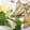 anjizi's cooksnap of when they made レンジで簡単！きのこの卵とじ.