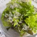 はっぴーはりぼ's cooksnap of when they made サニーレタスとじゃこの簡単サラダ.