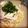 みつこ（＾＾）'s cooksnap of when they made 海老ときのこと明太子のクリームパスタ.