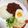 maruruuun's cooksnap of when they made *キーマカレー*　おうちでカフェめし*.