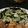 けいたん０７０８'s cooksnap of when they made サッと簡単！キャベツとひじきの中華サラダ.