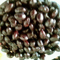 ティラノ〜's cooksnap of when they made お家で簡単黒豆作り♬.