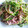 竜の湯's cooksnap of when they made 簡単！　豆苗と豚肉のウェイパー炒め物.