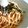 口笛花子ちゃん's cooksnap of when they made ツナと大根おろしの和風パスタ♡.