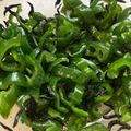 Minon's cooksnap of when they made まじっくひじきDE無限ピーマン.