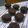 cheen's cooksnap of when they made 生チョコinクッキー.