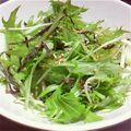 たんたん　's cooksnap of when they made 簡単！旨い！　✿水菜のサラダ✿.