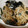 hiro★kuma's cooksnap of when they made ＊もやしと切り干し大根のなめたけ和え＊.