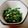 アユミミ☆'s cooksnap of when they made 簡単！春菊のピーナッツ和え☆.