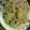 milkーmama's cooksnap of when they made 毎日食べたい簡単おからの炒り煮.