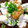 せいじミキ's cooksnap of when they made 牡蠣の柚子こしょうポン酢和え.