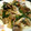 なぞう's cooksnap of when they made ✿ฺわけぎと豚肉の簡単生姜炒め✿ฺ.