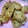 にしあまね's cooksnap of when they made 簡単！胸肉で唐揚げ風！.