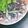 あざらしの赤ちゃん's cooksnap of when they made セロリと紫キャベツのカレーマヨ和え.