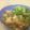 gorous's cooksnap of when they made 鶏肉のネギソース.