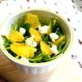 ma:9's cooksnap of when they made 水菜とクリチの柑橘サラダ.