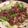 サチマルコ's cooksnap of when they made 牛肉とにんにくの芽の炒め物.