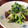 caolife's cooksnap of when they made 福立菜と椎茸炒め.