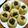 なたなたなたでこ's cooksnap of when they made 緑茶あんぱん.