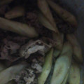 hirojdjm's cooksnap of when they made ごぼうと牛肉のささっと炒め煮.