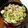 カササキ's cooksnap of when they made 簡単♪ひき肉とキャベツの柚子胡椒炒め.