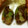３２６４'s cooksnap of when they made 簡単！ふきのとう.