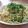 luina's cooksnap of when they made 菜の花＆ツナの梅しそスパゲッティ.