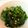 caname's cooksnap of when they made 茶☆ほうれん草.