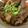 のんぷーどる's cooksnap of when they made 圧力鍋で♪　根菜たっぷり☆すじこん.