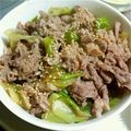 やまＰそうＰ's cooksnap of when they made 長ねぎ牛丼.