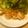 olive11's cooksnap of when they made 超低カロ♥エビチリ（チリマヨ）.