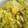 bimimk's cooksnap of when they made ビールにかんぴょうと切干し大根の中華煮！.