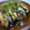 reiyan1956's cooksnap of when they made 簡単レンジだけ☆塩鮭ときのこ蒸し.
